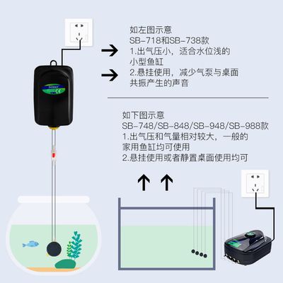 龍魚適合用什么燈vs祥龍魚場：祥龍魚場龍魚照明對色彩的影響 vs祥龍魚場 第5張