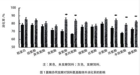 龍魚燈什么時候開比較合適：-夜間開啟龍魚燈的最佳時間點是什么時候 水族問答 第2張