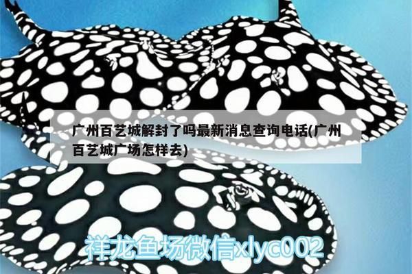 肇慶龍魚vs肇慶水族批發(fā)市場vs肇慶水族館vs肇慶魚缸批發(fā)市場vs祥龍魚場：肇慶魚缸批發(fā)市場價格 祥龍魚場各市分站 第3張