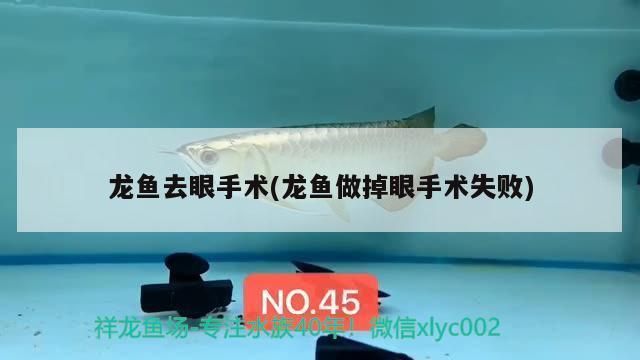 龍魚麻醉后遺癥vs祥龍魚場(chǎng)：祥龍魚場(chǎng)龍魚麻醉后的處理方法 vs祥龍魚場(chǎng) 第3張