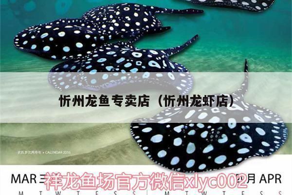 忻州龍魚vs忻州水族批發(fā)市場vs忻州水族館vs忻州魚缸批發(fā)市場vs祥龍魚場：忻州水族批發(fā)市場 祥龍魚場各市分站 第1張