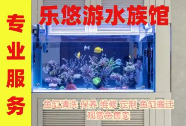 合肥龍魚vs合肥水族批發(fā)市場vs合肥水族館vs合肥魚缸批發(fā)市場vs祥龍魚場：合肥水族市場以及祥龍魚場 祥龍魚場各市分站 第4張