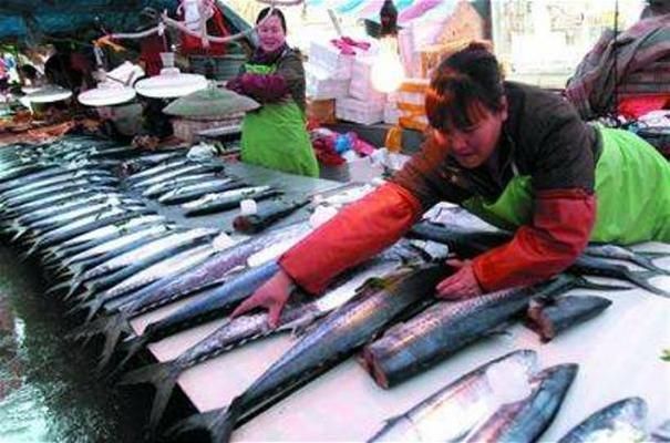 日照龍魚(yú)vs日照水族批發(fā)市場(chǎng)vs日照水族館vs日照魚(yú)缸批發(fā)市場(chǎng)vs祥龍魚(yú)場(chǎng)：日照觀(guān)賞魚(yú)批發(fā)市場(chǎng) 祥龍魚(yú)場(chǎng)各市分站 第3張