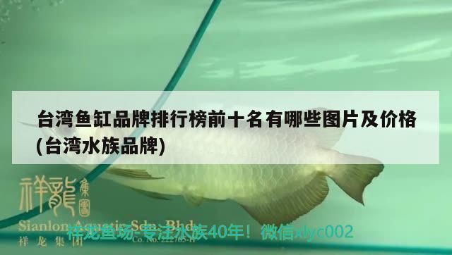 臺灣龍魚vs臺灣水族批發(fā)市場vs臺灣水族館vs臺灣魚缸批發(fā)市場vs祥龍魚場：臺灣水族批發(fā)市場 祥龍魚場各市分站 第3張