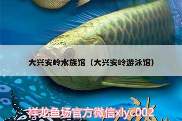 大興安嶺龍魚vs大興安嶺水族批發(fā)市場vs大興安嶺水族館vs大興安嶺魚缸批發(fā)市場vs祥龍魚場：大興安嶺水族批發(fā)市場 祥龍魚場各市分站 第3張