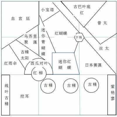 銅川龍魚vs銅川水族批發(fā)市場vs銅川水族館vs銅川魚缸批發(fā)市場vs祥龍魚場：銅川水族館、祥龍魚場魚缸批發(fā)市場價格對比 祥龍魚場各市分站 第2張