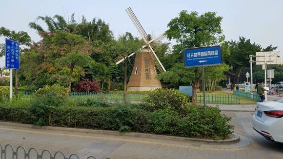 深圳龍魚vs深圳水族批發(fā)市場vs深圳水族館vs深圳魚缸批發(fā)市場vs祥龍魚場：深圳龍魚、水族批發(fā)市場、水族館、魚缸批發(fā)市場、魚缸批發(fā)市場 祥龍魚場各市分站 第5張