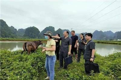 龍魚鑒定中心vs祥龍魚場：龍魚鑒定中心與祥龍魚場區(qū)別 vs祥龍魚場 第4張