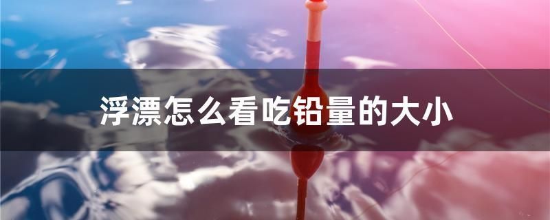 吐魯番龍魚vs吐魯番水族批發(fā)市場(chǎng)vs吐魯番水族館vs吐魯番魚缸批發(fā)市場(chǎng)vs祥龍魚場(chǎng)：吐魯番地區(qū)的龍魚交易市場(chǎng) 祥龍魚場(chǎng)各市分站 第5張