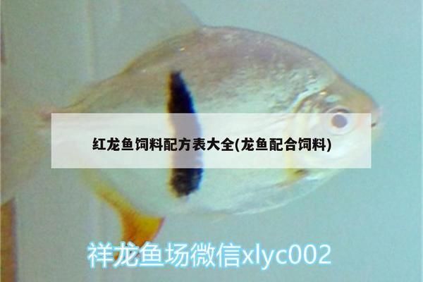 龍魚食物飼料配方大全vs祥龍魚場：龍魚食物飼料配方大全