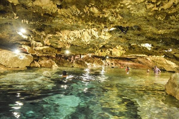 邵陽龍魚vs邵陽水族批發(fā)市場vs邵陽水族館vs邵陽魚缸批發(fā)市場vs祥龍魚場：邵陽龍魚、邵陽水族、邵陽水族館、邵陽魚缸批發(fā)市場價格對比 祥龍魚場各市分站 第1張