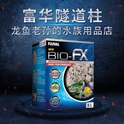 龍魚老孫的水族用品店：北京龍魚老孫水族用品店 龍魚百科 第3張