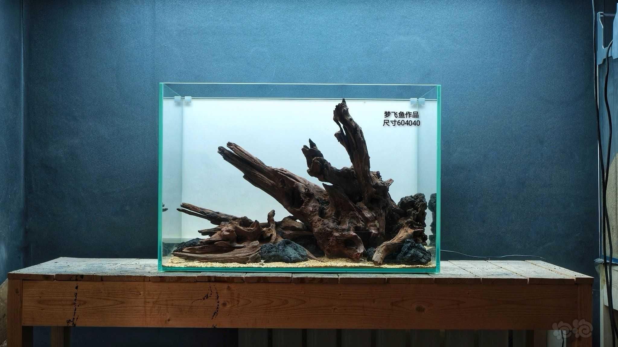 龍魚缸沉木造景圖：如何選擇適合龍魚缸沉木造景 龍魚百科 第3張