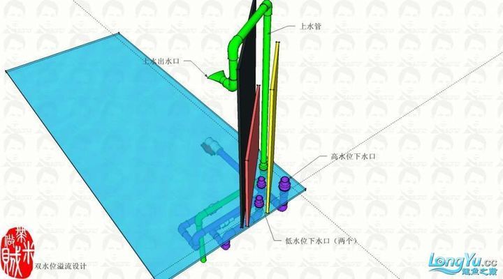 龍魚缸雙水位設(shè)計(jì)：雙水位魚缸設(shè)計(jì)的美學(xué)價(jià)值 龍魚百科 第4張