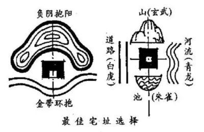 龍魚掉眼治療多少錢：{龍魚掉眼治療的費用因地區(qū)、診所和治療方法的不同而有差異 水族問答 第2張