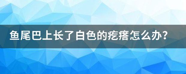 龍魚尾巴長疙瘩vs祥龍魚場：龍魚尾巴長疙瘩怎么治療圖片(龍魚身上長白疙瘩怎么治療圖片 vs祥龍魚場 第19張