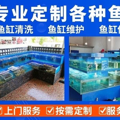 龍魚尾巴有好多肉疙瘩vs祥龍魚場：祥龍魚場的龍魚品種及種如何預(yù)防龍魚尾巴病變 vs祥龍魚場 第1張