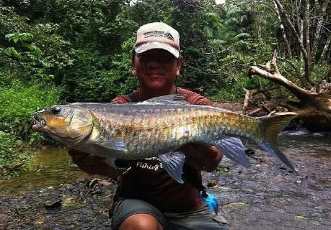 肯逸湖吉羅魚：吉羅魚的烹飪方法 吉羅魚批發(fā) 第4張