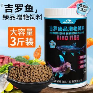 曼谷藍吉羅魚：藍吉羅魚的市場價格，藍吉羅魚的繁殖方法 吉羅魚批發(fā) 第3張