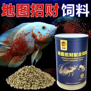 龍魚如何吃飼料vs祥龍魚場：祥龍魚場的龍魚飼料 vs祥龍魚場 第4張