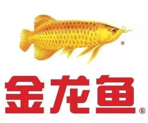 金龍魚和中糧的關(guān)系圖：金龍魚與中糧之間的關(guān)系圖揭示了兩家公司之間復(fù)雜的業(yè)務(wù)聯(lián)系和合作關(guān)系 龍魚百科 第1張