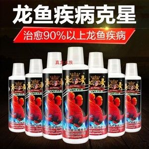 龍魚爛尾怎么辦用什么藥好vs祥龍魚場(chǎng)：如何處理龍魚爛尾的問題 vs祥龍魚場(chǎng) 第4張