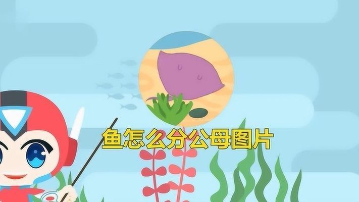 龍魚首飾vs祥龍魚場：“龍魚首飾”與“祥龍魚場”之間的區(qū)別 vs祥龍魚場 第5張