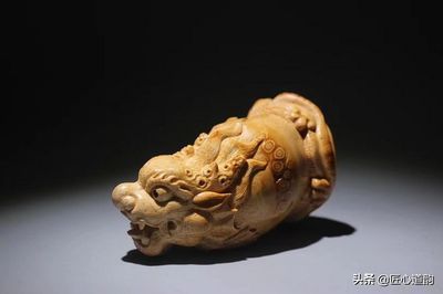 龍魚(yú)的寓意說(shuō)說(shuō) 龍魚(yú)百科 第4張