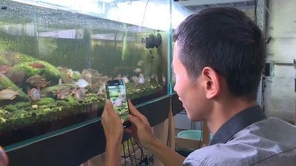 龍魚每天換水好不好vs祥龍魚場：如何判斷龍魚是否需要換水 vs祥龍魚場 第3張