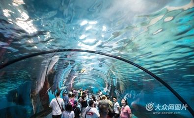 濟(jì)南水族館：山東濟(jì)南水族館門票價(jià)格開放時(shí)間開放時(shí)間開放時(shí)間 龍魚百科 第1張