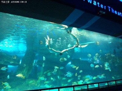 濟(jì)南水族館：山東濟(jì)南水族館門票價(jià)格開放時(shí)間開放時(shí)間開放時(shí)間 龍魚百科 第3張