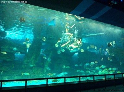 濟(jì)南水族館：山東濟(jì)南水族館門票價(jià)格開放時(shí)間開放時(shí)間開放時(shí)間 龍魚百科 第5張