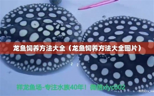 龍魚養(yǎng)殖條件和方法圖解：龍魚養(yǎng)殖龍魚的養(yǎng)殖條件和養(yǎng)殖條件需要注意的條件 龍魚百科 第4張