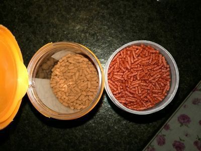 龍魚飼料怎么做的：自制龍魚飼料保存技巧 龍魚百科 第2張