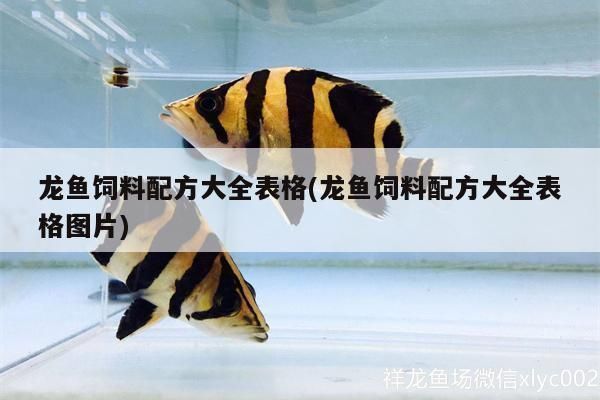 龍魚飼料配方表vs祥龍魚場：祥龍魚場龍魚飼料配方表 vs祥龍魚場 第5張