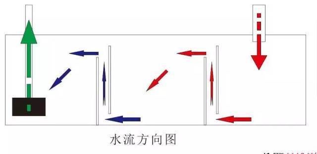 龍魚缸底濾放環(huán)還是球：魚缸底濾放環(huán)還是球 龍魚百科 第4張