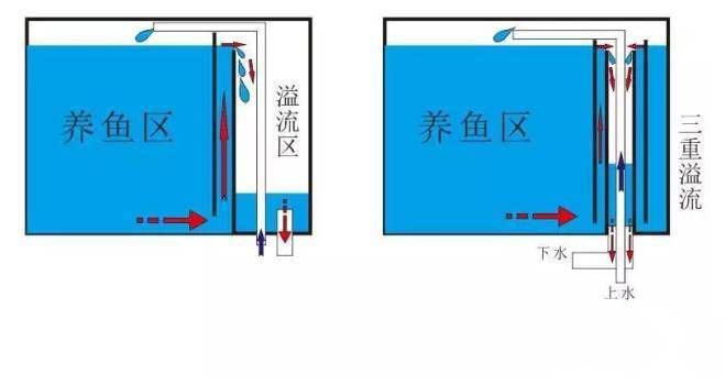 龍魚缸底濾放環(huán)還是球：魚缸底濾放環(huán)還是球 龍魚百科 第5張