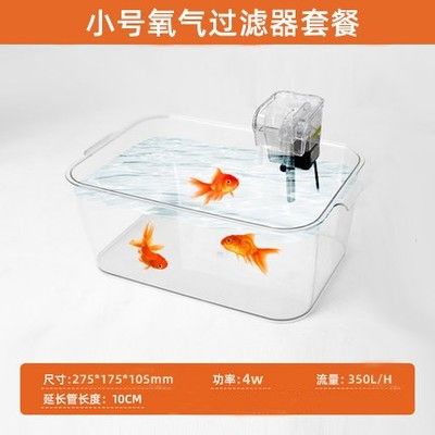 養(yǎng)六角恐龍魚需要什么過濾：六角恐龍魚水質(zhì)管理技巧六角恐龍魚水質(zhì)管理技巧 龍魚百科 第2張