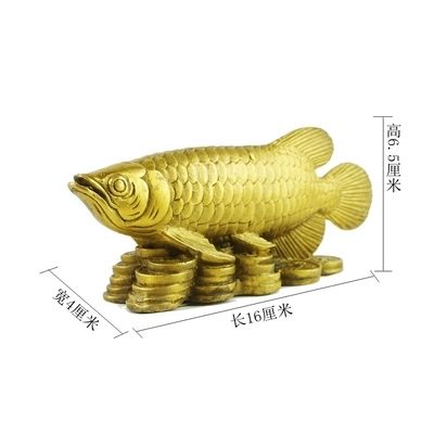 金龍魚有幾個(gè)廠家在哪里：金龍魚廠家分布情況 龍魚百科 第5張