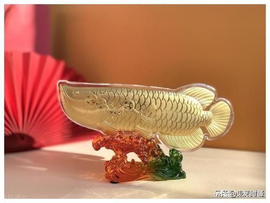 龍魚(yú)不游動(dòng)是不是有病：探討龍魚(yú)不游動(dòng)是否意味著有病的問(wèn)題