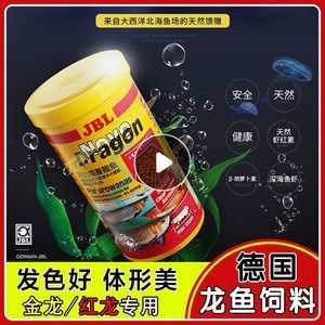 龍魚驅(qū)蟲藥：龍魚驅(qū)蟲藥使用方法 龍魚百科 第5張