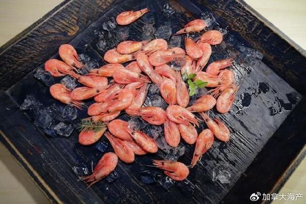 龍魚缸多寬最好看：龍魚缸最佳寬度與水族箱的總體大小、光照條件以及裝飾風(fēng)格緊密相關(guān) 水族問答 第1張