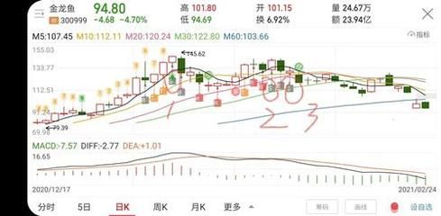 金龍魚百度貼吧最新消息：金龍魚百度貼吧最新消息匯總 龍魚百科 第5張