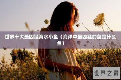 龍魚缸如何除藻最好：如何判斷魚缸是否需要除藻 水族問答 第2張