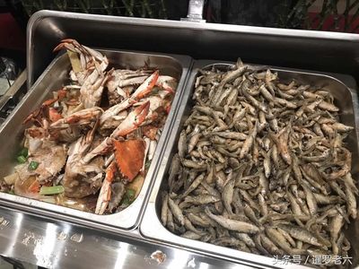 龍魚吃自助餐怎么吃：龍魚的“自助餐”主要指提供多樣化的活食和飼料選擇技巧 龍魚百科 第2張