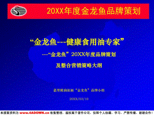 金龍魚營銷策劃方案模板范文：金龍魚營銷策劃方案 龍魚百科 第3張