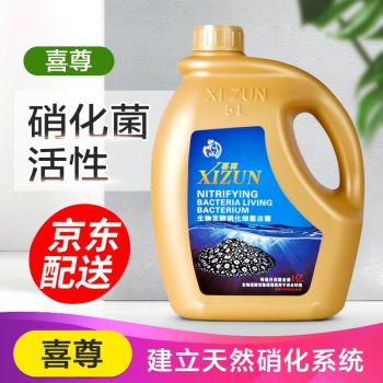 龍魚活化菌：龍魚活化菌使用誤區(qū)硝化細菌培養(yǎng)的最佳環(huán)境培養(yǎng)的最佳環(huán)境 龍魚百科 第3張