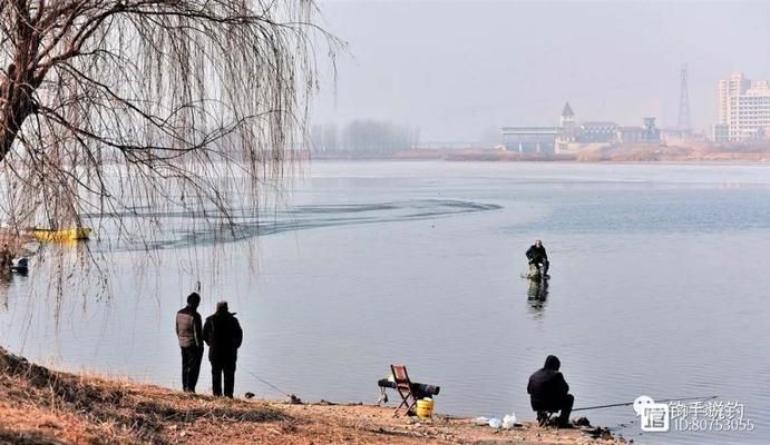 龍魚缸要下鹽嗎：為什么需要給龍魚在魚缸中下鹽？ 水族問答