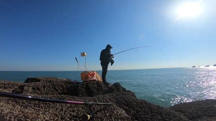 雷龍魚白毛什么樣：雷龍魚身上出現(xiàn)白毛是怎么回事 龍魚百科 第2張