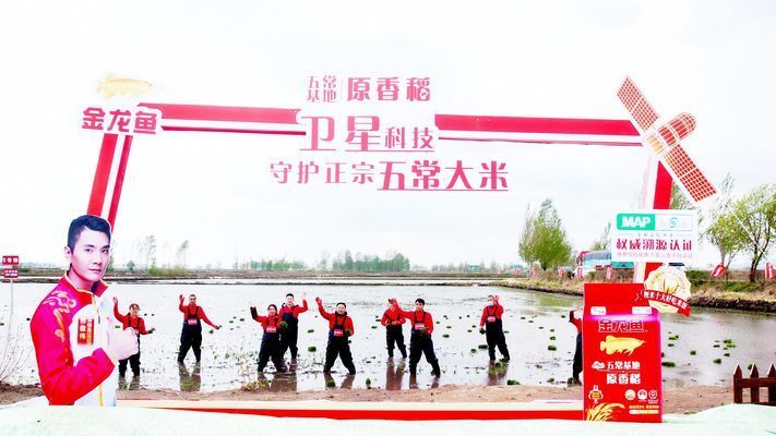 金龍魚(yú)原材料基地：金龍魚(yú)原材料基地是中國(guó)知名的糧油品牌金龍魚(yú)原材料供應(yīng)地